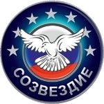 Логотип фирмы ТД СОЗВЕЗДИЕ